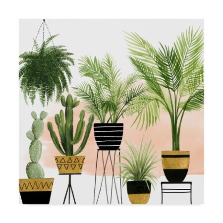 Trademark Fine Art Grace Popp 'Indoor Oasis Ii' Canvas Art, 18x18 WAG08247-C1818GG